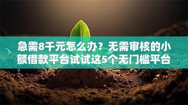 急需8千元怎么办?无需审核的小额借款平台试试这5个无门槛平台 急需8千元怎么办?无需审核的小额借款平台试试这5个无门槛平台