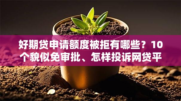 好期贷申请额度被拒有哪些？10个貌似免审批、怎样投诉网贷平台合集