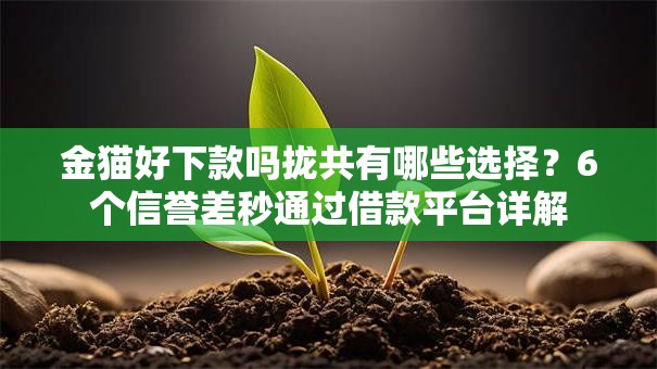 金猫好下款吗拢共有哪些选择？6个信誉差秒通过借款平台详解