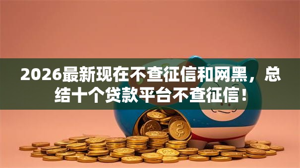 2026最新现在不查征信和网黑，总结十个贷款平台不查征信！