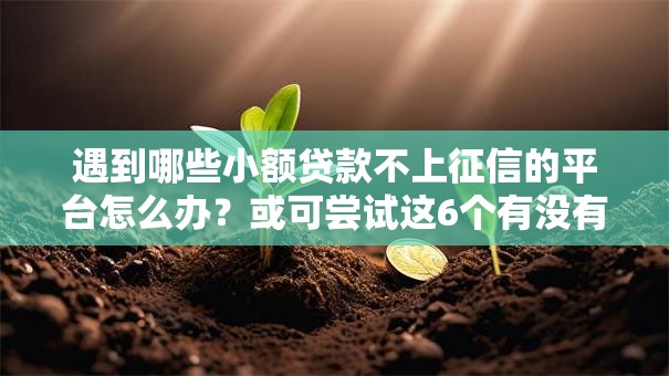 遇到哪些小额贷款不上征信的平台怎么办?或可尝试这6个有没有不查征信的贷款平台 遇到哪些小额贷款不上征信的平台怎么办?或可尝试这6个有没有不查征信的贷款平台