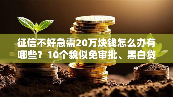 征信不好急需20万块钱怎么办有哪些?10个貌似免审批、黑白贷款不是高炮的口子合集 征信不好急需20万块钱怎么办有哪些?10个貌似免审批、黑白贷款不是高炮的口子合集
