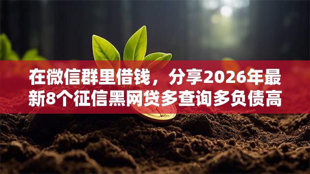 在微信群里借钱，分享2026年最新8个征信黑网贷多查询多负债高能下款的口子
