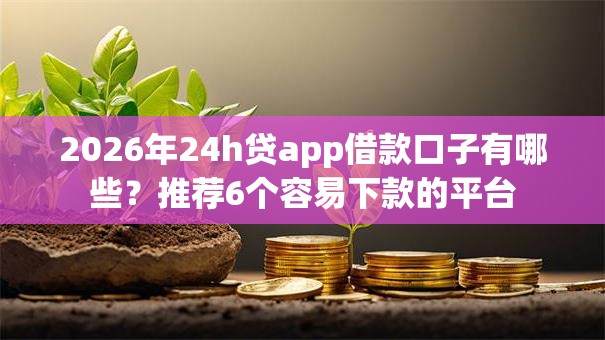 2026年24h贷app借款口子有哪些？推荐6个容易下款的平台
