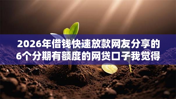 2026年借钱快速放款网友分享的6个分期有额度的网贷口子我觉得不错！