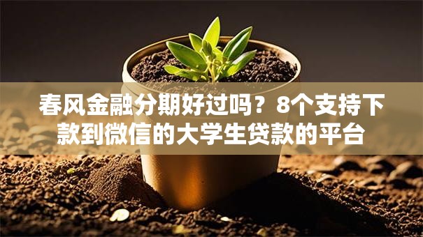 春风金融分期好过吗?8个支持下款到微信的大学生贷款的平台 春风金融分期好过吗?8个支持下款到微信的大学生贷款的平台