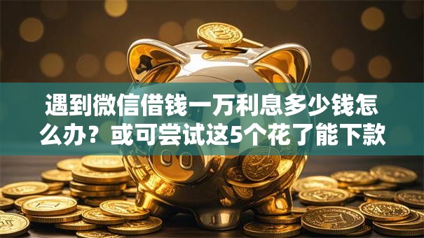 遇到微信借钱一万利息多少钱怎么办？或可尝试这5个花了能下款的口子