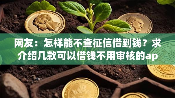 网友：怎样能不查征信借到钱？求介绍几款可以借钱不用审核的app