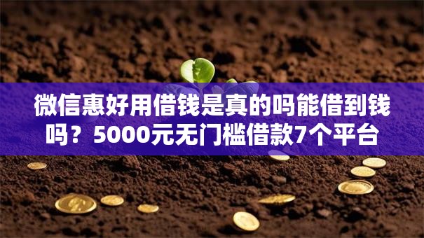 微信惠好用借钱是真的吗能借到钱吗?5000元无门槛借款7个平台推荐 微信惠好用借钱是真的吗能借到钱吗?5000元无门槛借款7个平台推荐