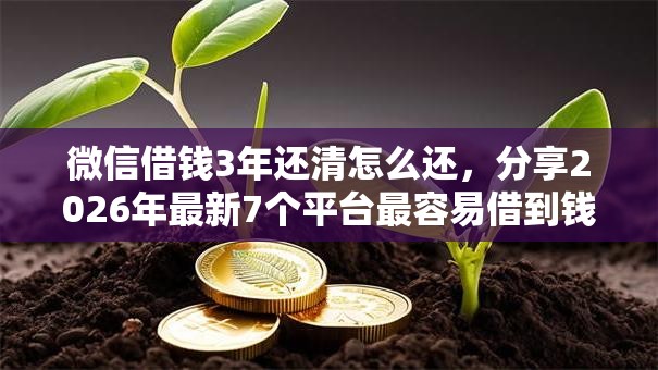 微信借钱3年还清怎么还，分享2026年最新7个平台最容易借到钱的