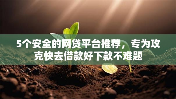 5个安全的网贷平台推荐，专为攻克快去借款好下款不难题
