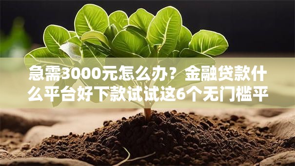 急需3000元怎么办？金融贷款什么平台好下款试试这6个无门槛平台