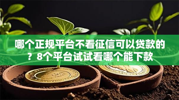 哪个正规平台不看征信可以贷款的?8个平台试试看哪个能下款 哪个正规平台不看征信可以贷款的?8个平台试试看哪个能下款