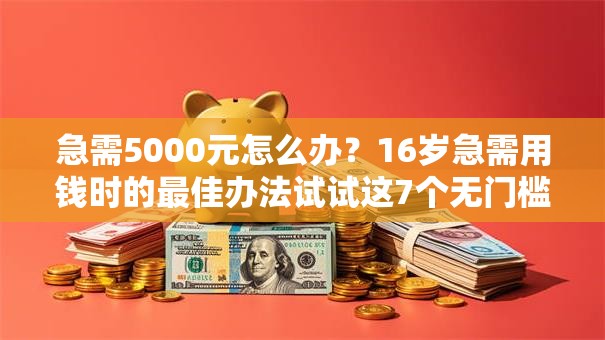 急需5000元怎么办？16岁急需用钱时的最佳办法试试这7个无门槛平台