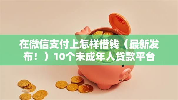 在微信支付上怎样借钱（最新发布！）10个未成年人贷款平台