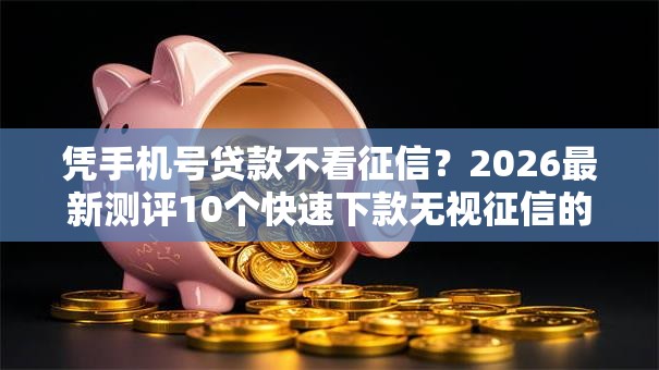凭手机号贷款不看征信？2026最新测评10个快速下款无视征信的口子