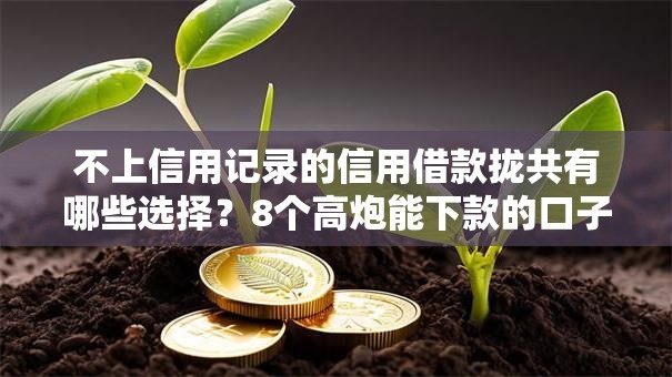 不上信用记录的信用借款拢共有哪些选择？8个高炮能下款的口子详解