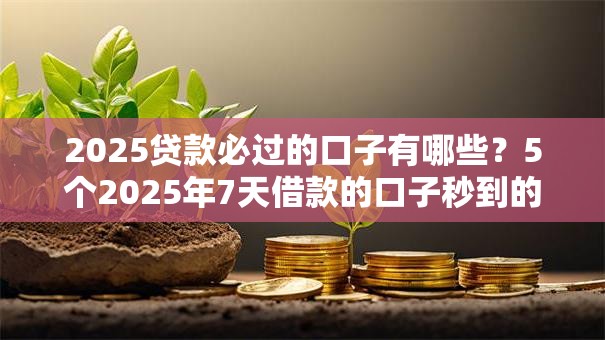 2025贷款必过的口子有哪些？5个2025年7天借款的口子秒到的推荐给你