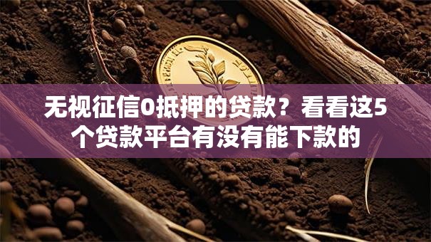 无视征信0抵押的贷款？看看这5个贷款平台有没有能下款的
