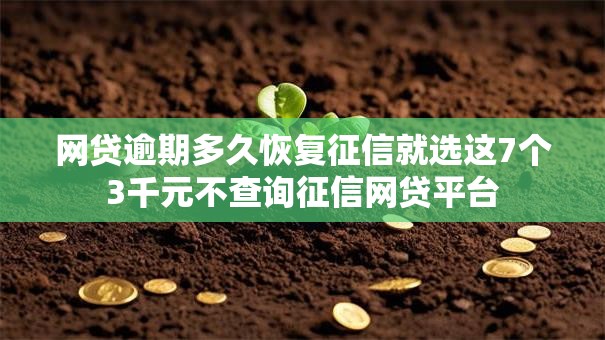 网贷逾期多久恢复征信就选这7个3千元不查询征信网贷平台 网贷逾期多久恢复征信就选这7个3千元不查询征信网贷平台