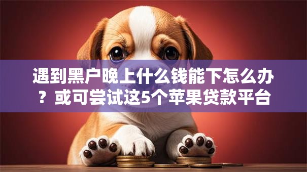 遇到黑户晚上什么钱能下怎么办?或可尝试这5个苹果贷款平台 遇到黑户晚上什么钱能下怎么办?或可尝试这5个苹果贷款平台