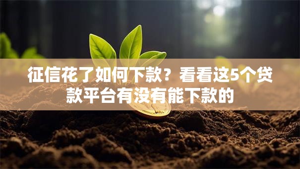 征信花了如何下款？看看这5个贷款平台有没有能下款的