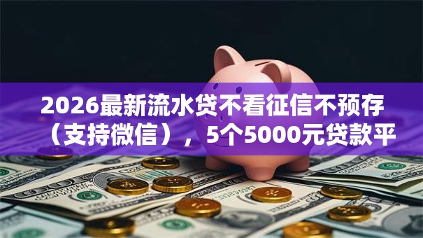 2026最新流水贷不看征信不预存（支持微信），5个5000元贷款平台好无私分享