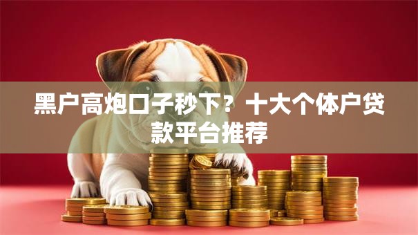 黑户高炮口子秒下？十大个体户贷款平台推荐