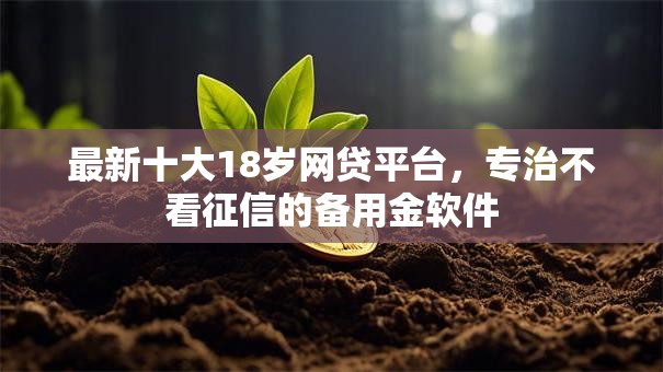 最新十大18岁网贷平台，专治不看征信的备用金软件