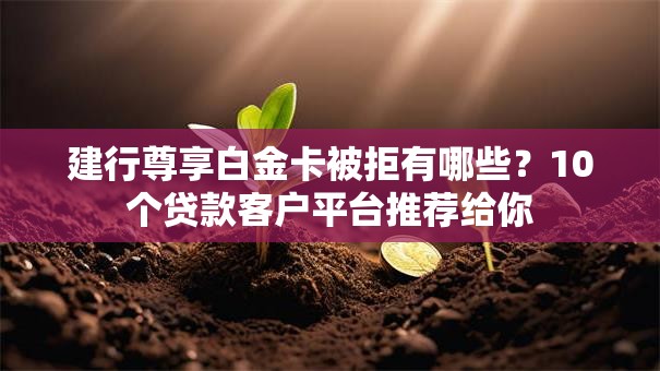 建行尊享白金卡被拒有哪些？10个贷款客户平台推荐给你