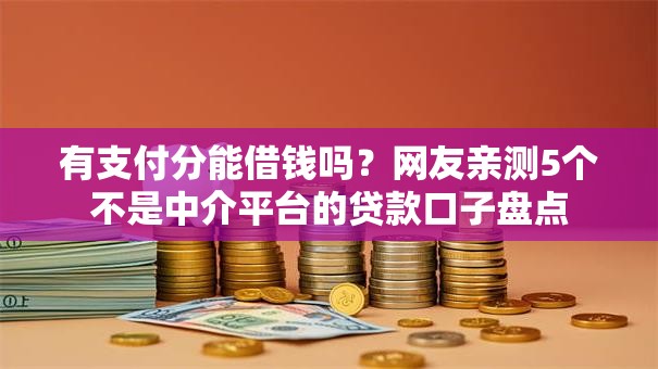 有支付分能借钱吗?网友亲测5个不是中介平台的贷款口子盘点 有支付分能借钱吗?网友亲测5个不是中介平台的贷款口子盘点