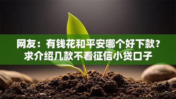 网友:有钱花和平安哪个好下款?求介绍几款不看征信小贷口子 网友:有钱花和平安哪个好下款?求介绍几款不看征信小贷口子