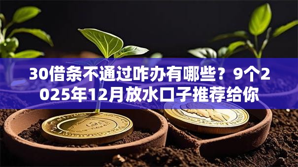 30借条不通过咋办有哪些？9个2025年12月放水口子推荐给你