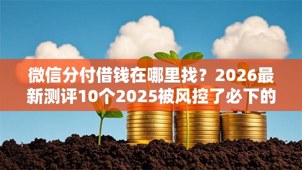 微信分付借钱在哪里找？2026最新测评10个2025被风控了必下的口子