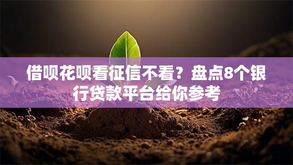 借呗花呗看征信不看?盘点8个银行贷款平台给你参考 借呗花呗看征信不看?盘点8个银行贷款平台给你参考