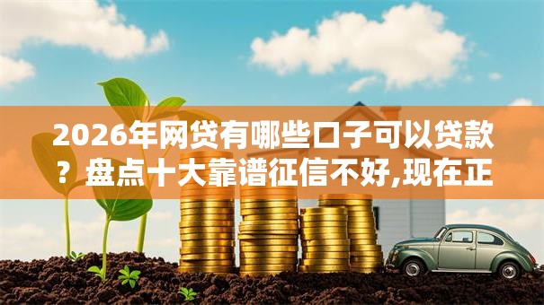 2026年网贷有哪些口子可以贷款？盘点十大靠谱征信不好,现在正规平台好下款