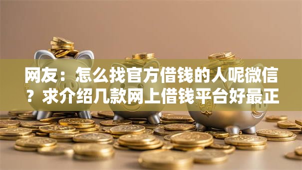 网友：怎么找官方借钱的人呢微信？求介绍几款网上借钱平台好最正规