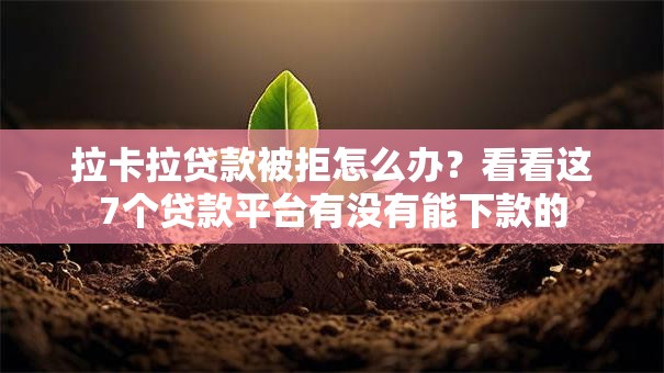 拉卡拉贷款被拒怎么办?看看这7个贷款平台有没有能下款的 拉卡拉贷款被拒怎么办?看看这7个贷款平台有没有能下款的