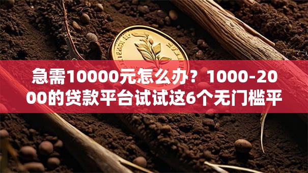 急需10000元怎么办？1000-2000的贷款平台试试这6个无门槛平台