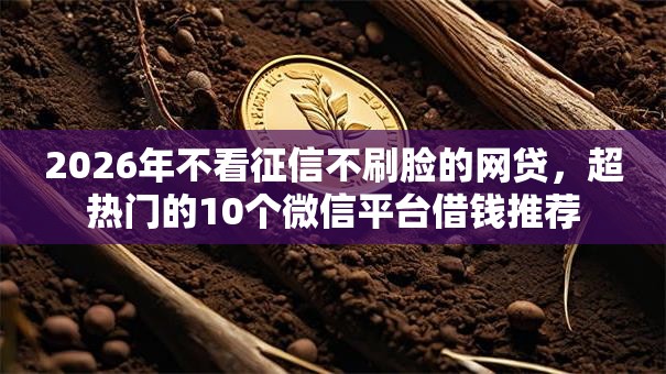 2026年不看征信不刷脸的网贷，超热门的10个微信平台借钱推荐