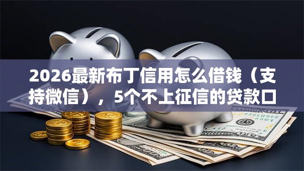 2026最新布丁信用怎么借钱（支持微信），5个不上征信的贷款口子无私分享