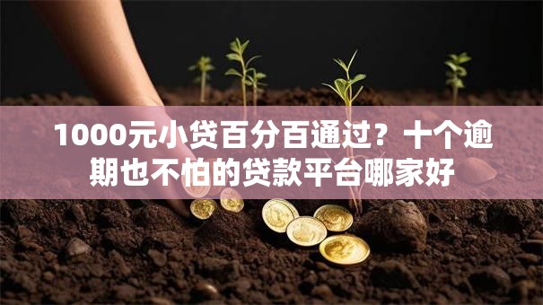 1000元小贷百分百通过？十个逾期也不怕的贷款平台哪家好