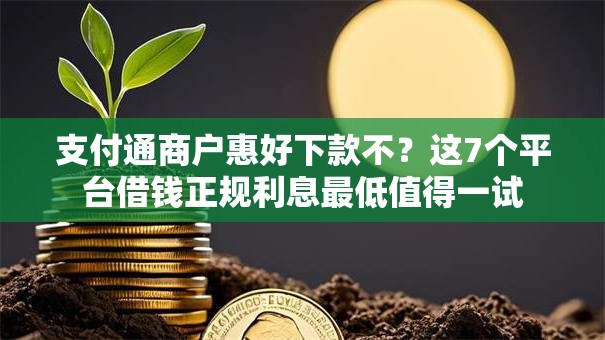 支付通商户惠好下款不?这7个平台借钱正规利息最低值得一试 支付通商户惠好下款不?这7个平台借钱正规利息最低值得一试