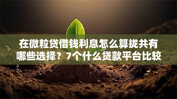 在微粒贷借钱利息怎么算拢共有哪些选择？7个什么贷款平台比较靠谱详解