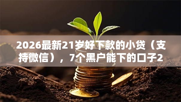 2026最新21岁好下款的小贷（支持微信），7个黑户能下的口子2025无私分享