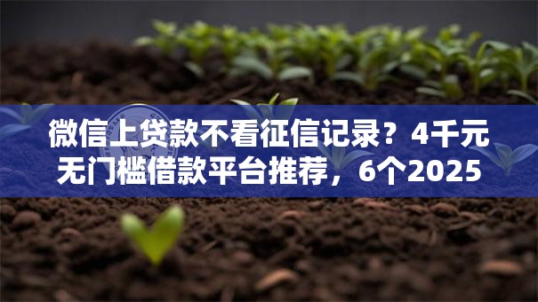 微信上贷款不看征信记录？4千元无门槛借款平台推荐，6个2025短期高炮口子必下款盘点