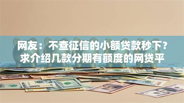 网友：不查征信的小额贷款秒下？求介绍几款分期有额度的网贷平台