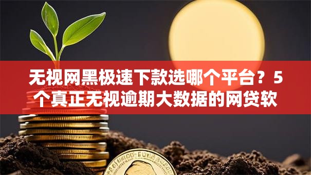 无视网黑极速下款选哪个平台?5个真正无视逾期大数据的网贷软件推荐 无视网黑极速下款选哪个平台?5个真正无视逾期大数据的网贷软件推荐