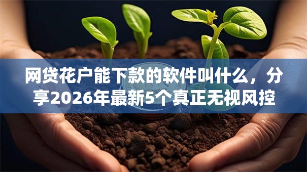 网贷花户能下款的软件叫什么，分享2026年最新5个真正无视风控黑白的网贷app