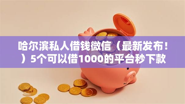 哈尔滨私人借钱微信（最新发布！）5个可以借1000的平台秒下款